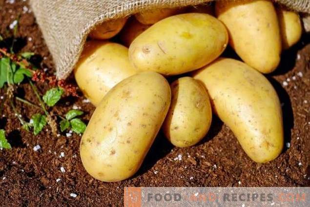 Преглед на евтините средства за преседување на подготовка на компири за болести и штетници