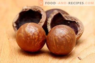 Макадамија орев: корист и штети