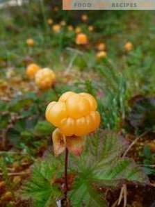 When to collect cloudberries