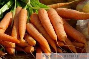 Како да се замрзне моркови за зима